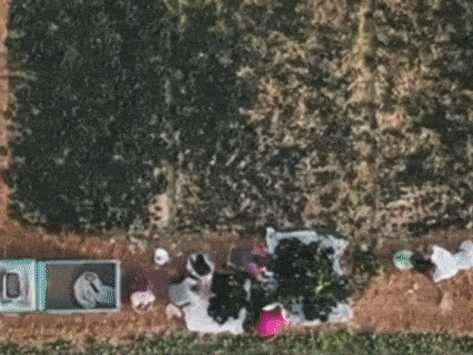Screenshot 2026-05-24 at 11-36-18 退役女兵靠一株青菜,年卖3个亿!.png